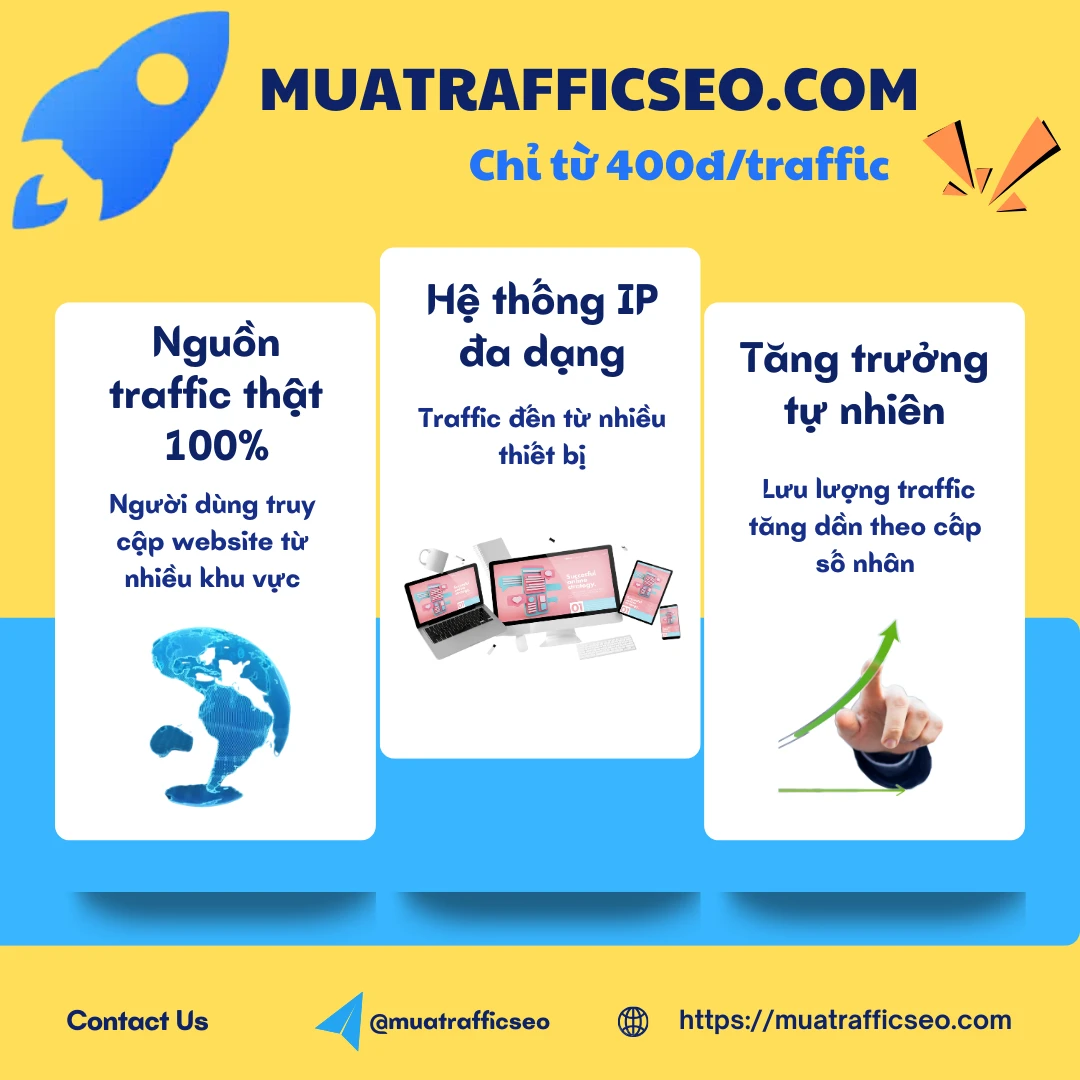 huong-dan-mua-traffic-truc-tiep-direct-tren-muatrafficseo