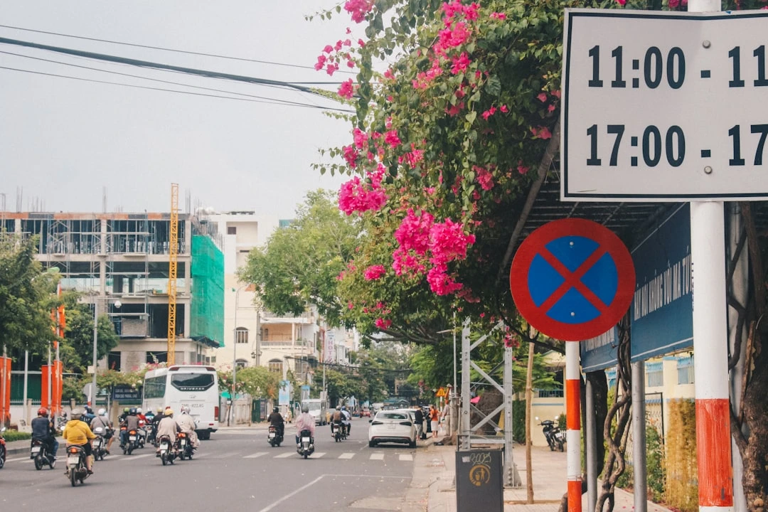 kham-pha-seo-discovery-duoi-goc-nhin-chuyen-gia