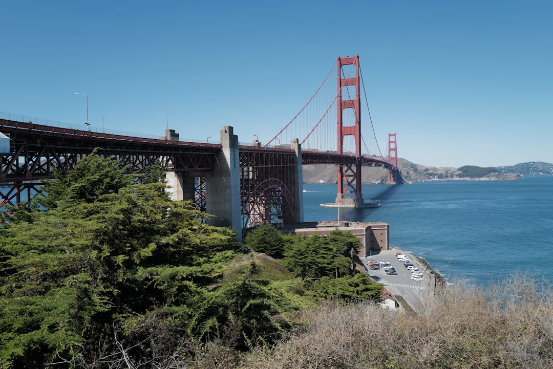 google-traffic-bay-area-duoi-goc-nhin-cua-chuyen-gia-seo