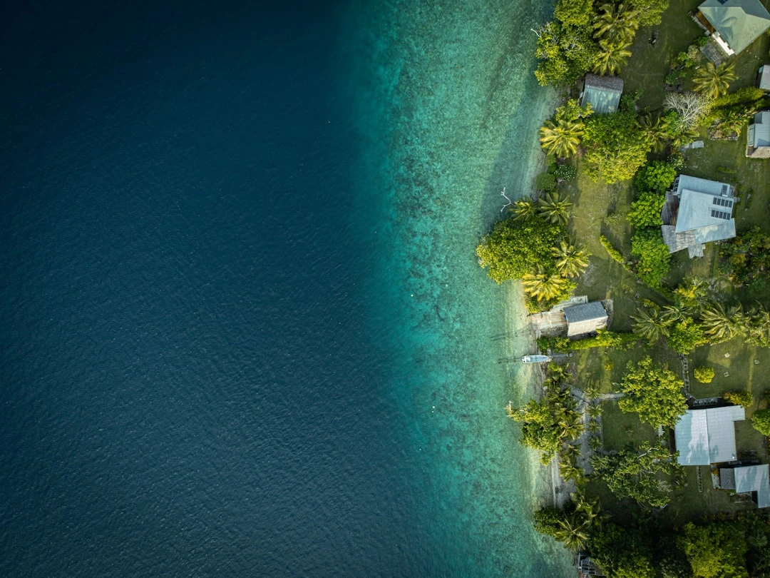 Traffic Racer Google Play monetization strategies